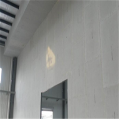 遂平宁波ALC板|EPS加气板隔墙与混凝土整浇联接的实验研讨